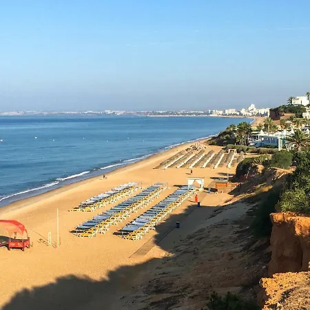 Apartament Casa Flores *